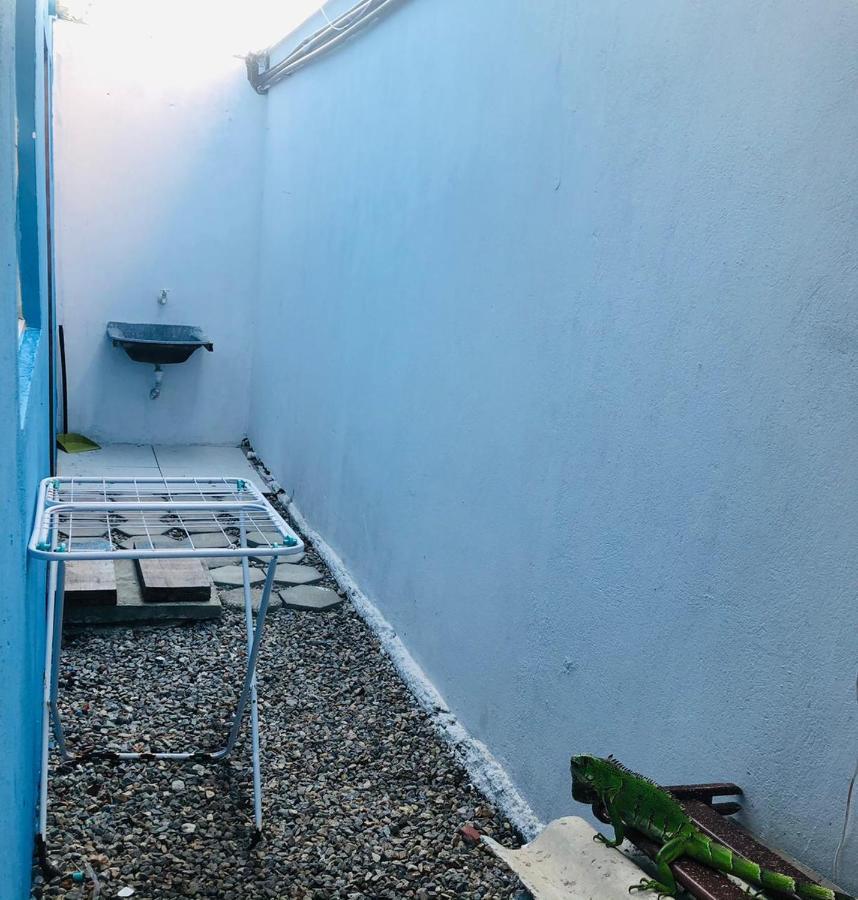 Апартаменты Apartamento Blue Horse Pipa Praia de Pipa Экстерьер фото